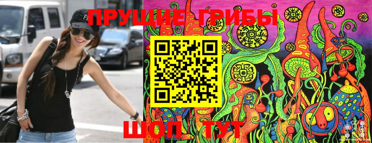 Галлюциногенные грибы Cubensis  Вход с VPN  Павлово 